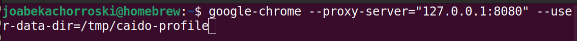 Comando Google Chrome Proxy